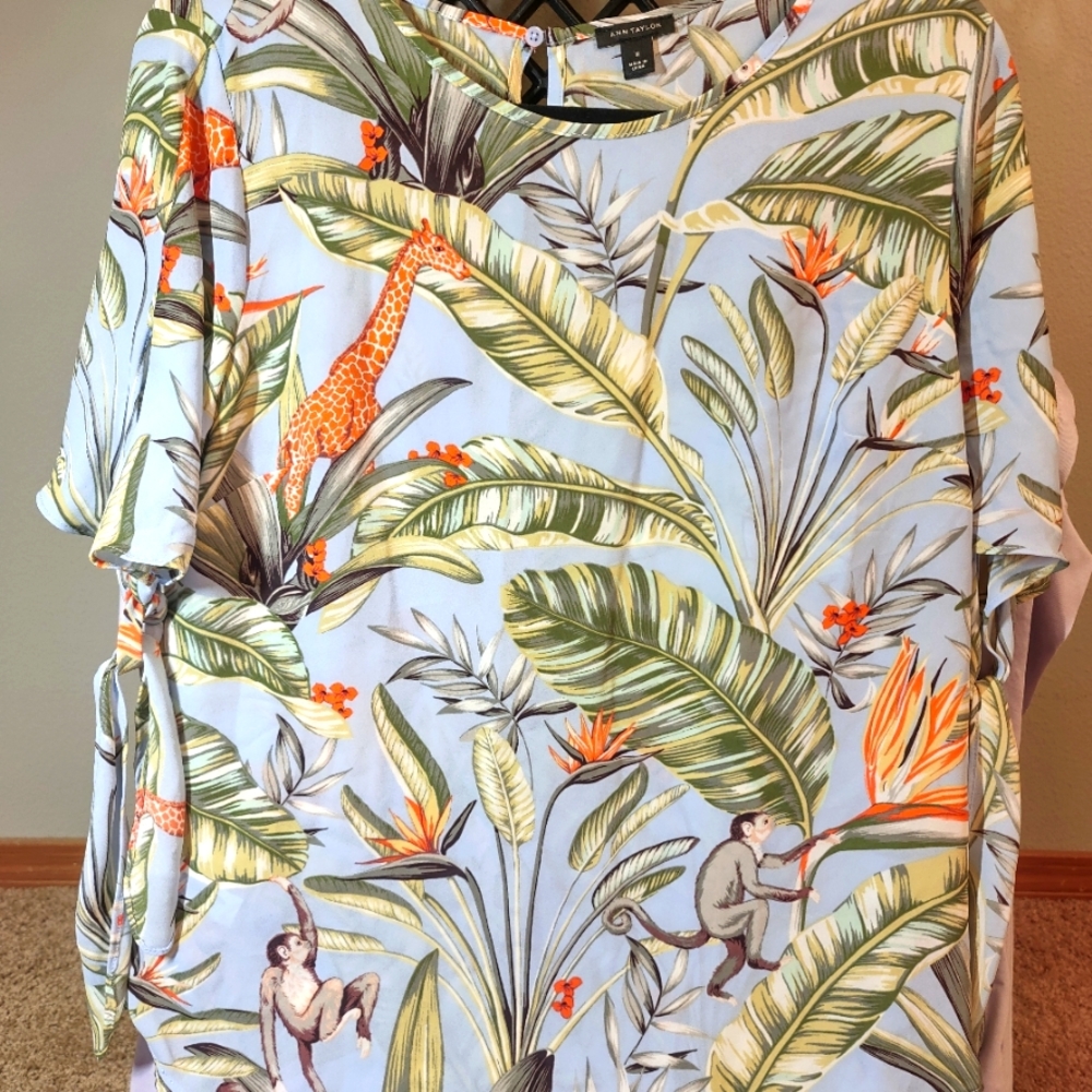 Ann Taylor Blouse
